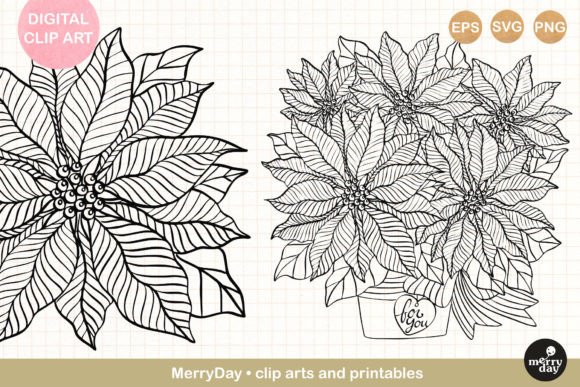 Download 2 Poinsettia Christmas Flower Line Art - Poinsettia Collection