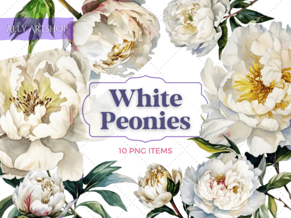 Download White Peonies Vintage Watercolor Clipart - Vintage Collection