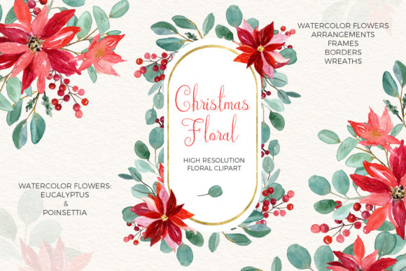 Download Christmas Eucalyptus and Poinsettia - Poinsettia Collection