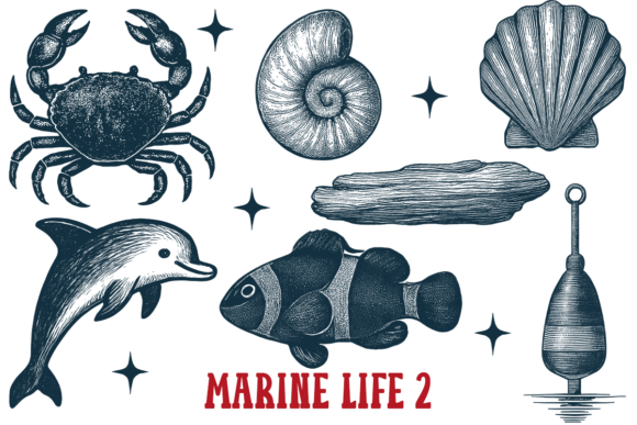 Download Marine Life 2 Vintage Ocean Animals Sea - Vintage Collection