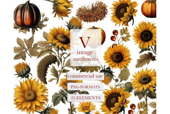Download Vintage Watercolor Sunflower Clipart - Vintage Collection