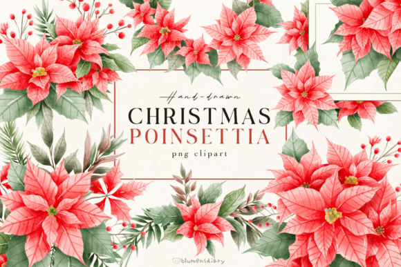 Download Watercolor Christmas Poinsettia - Poinsettia Collection