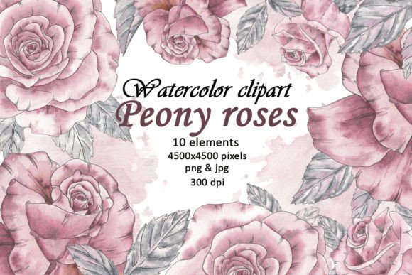 Download Watercolor Peony Flowers Vintage Clipart - Vintage Collection